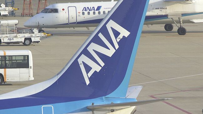 全日空機が佐賀空港着陸時に「バードストライク」で機体損傷 翌日の1便が欠航に|TBS NEWS DIG