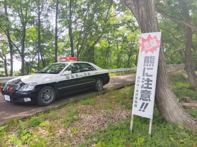 【クマ】親子グマに遭遇→親グマに襲われる人的被害（山形・米沢市）|TBS NEWS DIG