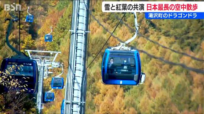 日本最長の“空中散歩”で秋と冬の共演を愉しむ「すごくいい体験」新潟県湯沢町【ドラゴンドラ】|TBS NEWS DIG