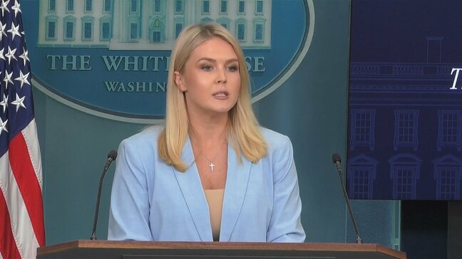 ニューヨーク郊外「ニューアーク空港」で通信障害　90秒間レーダーが機能停止|TBS NEWS DIG