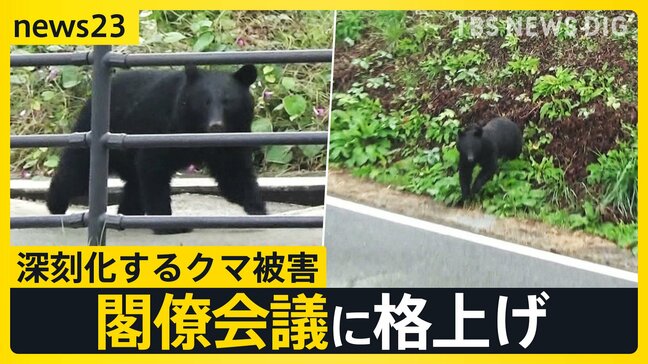 早朝の学校にクマ！カメラが捉えた侵入の一部始終　深刻化するクマ被害に「連絡会議」→「閣僚会議」に格上げ 30日に対応協議へ【news23】|TBS NEWS DIG