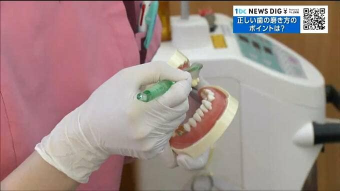 普通の歯磨きでは歯間汚れ「6割」しかとれず…正しい歯磨きを歯科医に聞いてみた！|TBS NEWS DIG