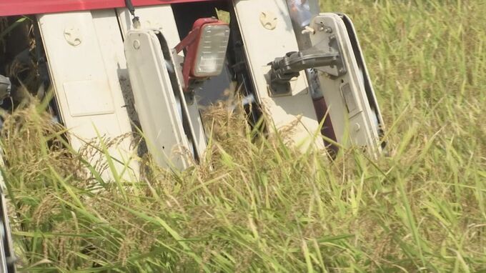 稲刈りの進捗率96％　高温で生育早まり、大幅に早い終了へ　岩手|TBS NEWS DIG
