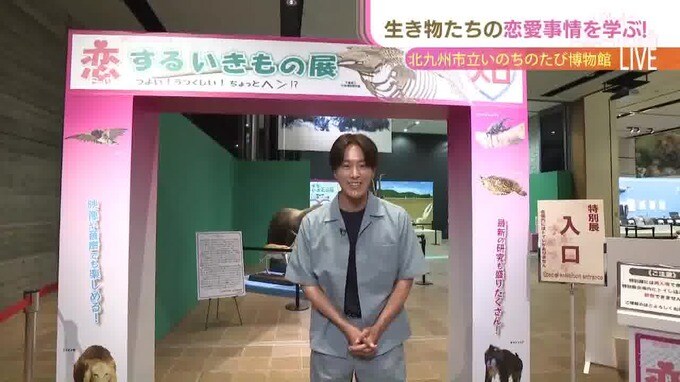 夏休みの自由研究にもピッタリ！生き物たちの恋愛事情が分かる？”恋するいきもの展”　|　福岡のニュース｜RKB NEWS｜RKB毎日放送