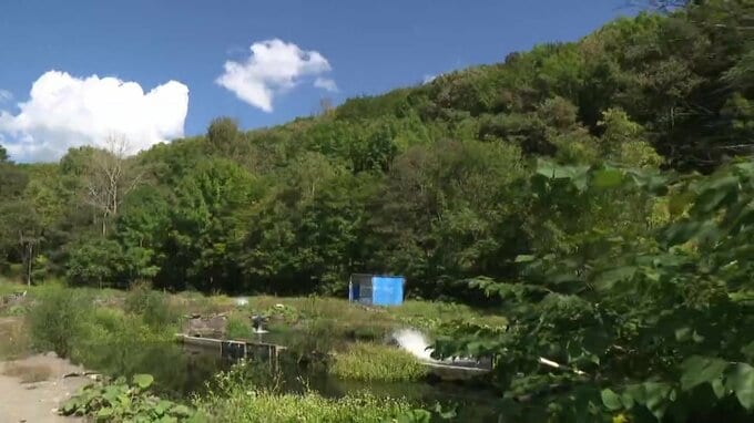 山に囲まれた比布町のニジマス養殖場