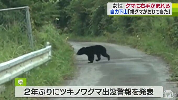 「急いで車に戻りドアを閉めようとしたが間に合わなかった」親グマに右腕かまれたまま車外へ引きずり出される　けがをした60代女性の家族が証言　青森県田子町|TBS NEWS DIG