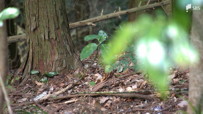 裁判長は「うそをつかない人に」と説諭　13歳の息子の母親を殺めた罪に問われた元交際相手の不自然な供述|TBS NEWS DIG