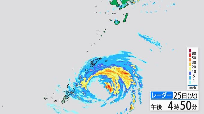 【速報】奄美地方では線状降水帯発生のおそれ　大雨災害発生の危険度高まる可能性|TBS NEWS DIG