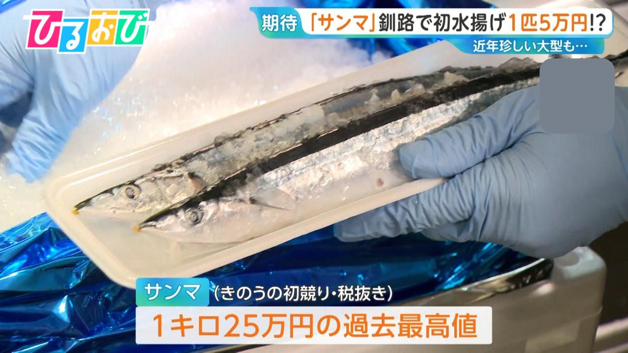 サンマ」初競り 1キロ25万円！サイズ“大きめ”今後の水揚げの見通しは