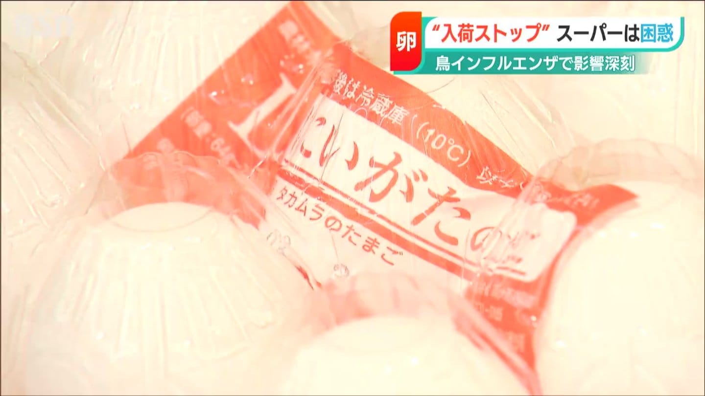店頭から卵が消える日…『入荷はきょうが“最後”』高病原性鳥