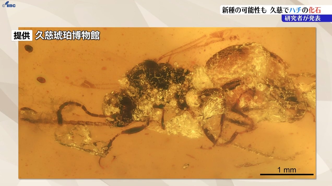 img_c8a8178693f6d9411a5eef6a85