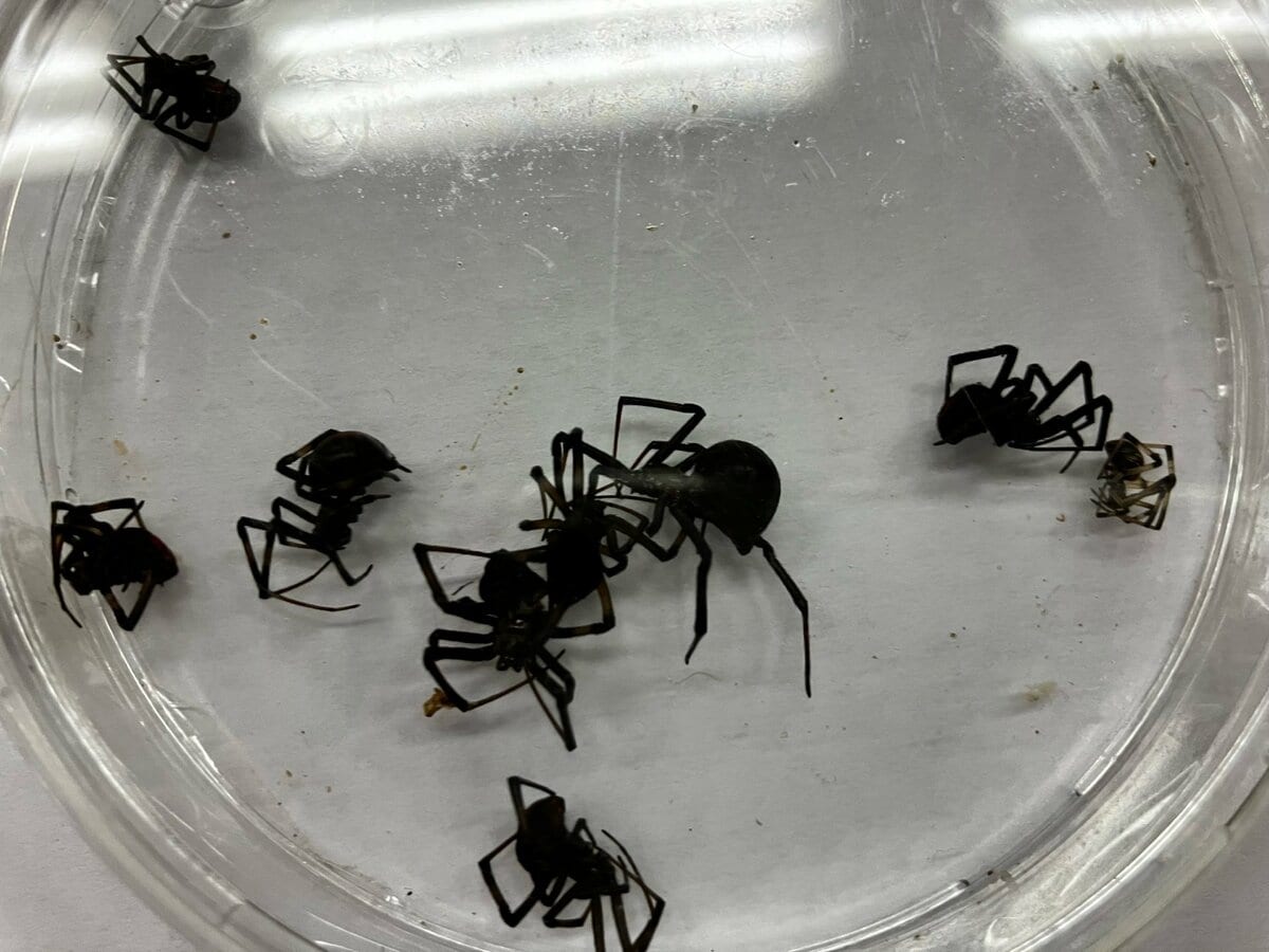 img_c84a0c450c4cc04b51b91a1834