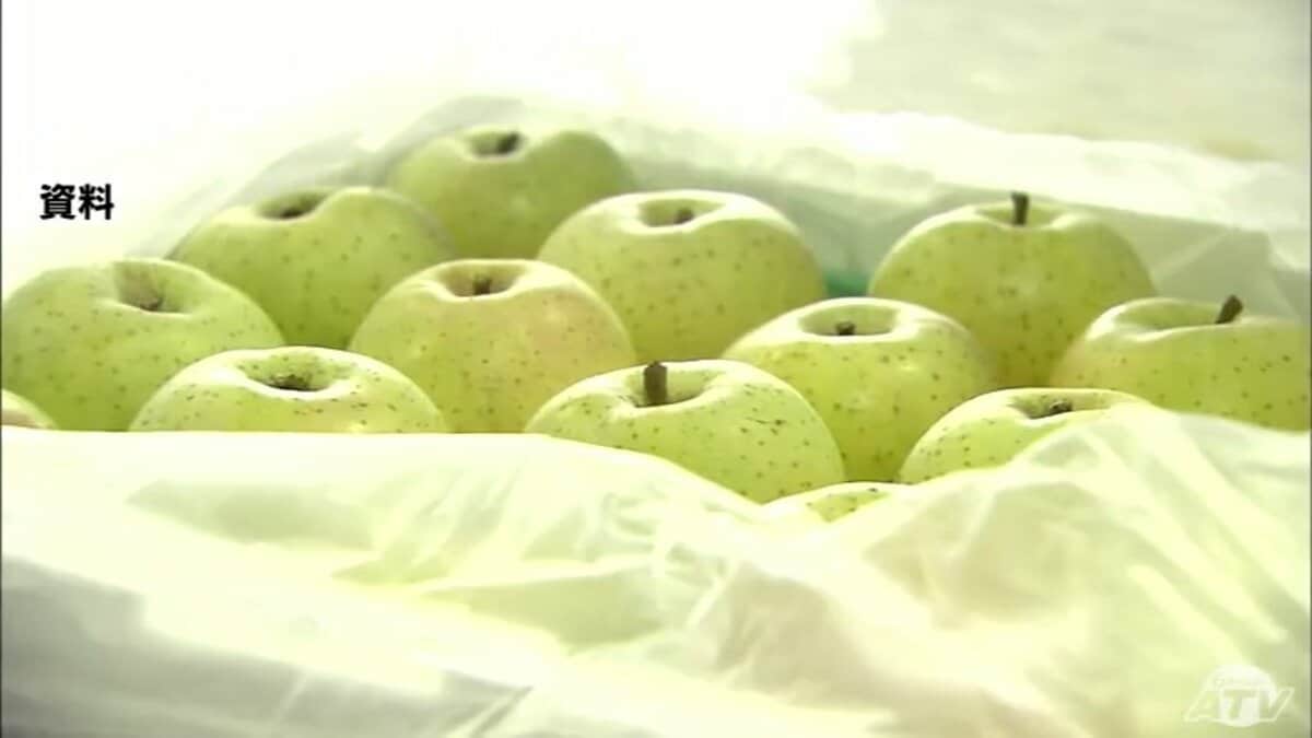 12年連続で100億円を突破 青森県産リンゴが9割とされる国産リンゴの