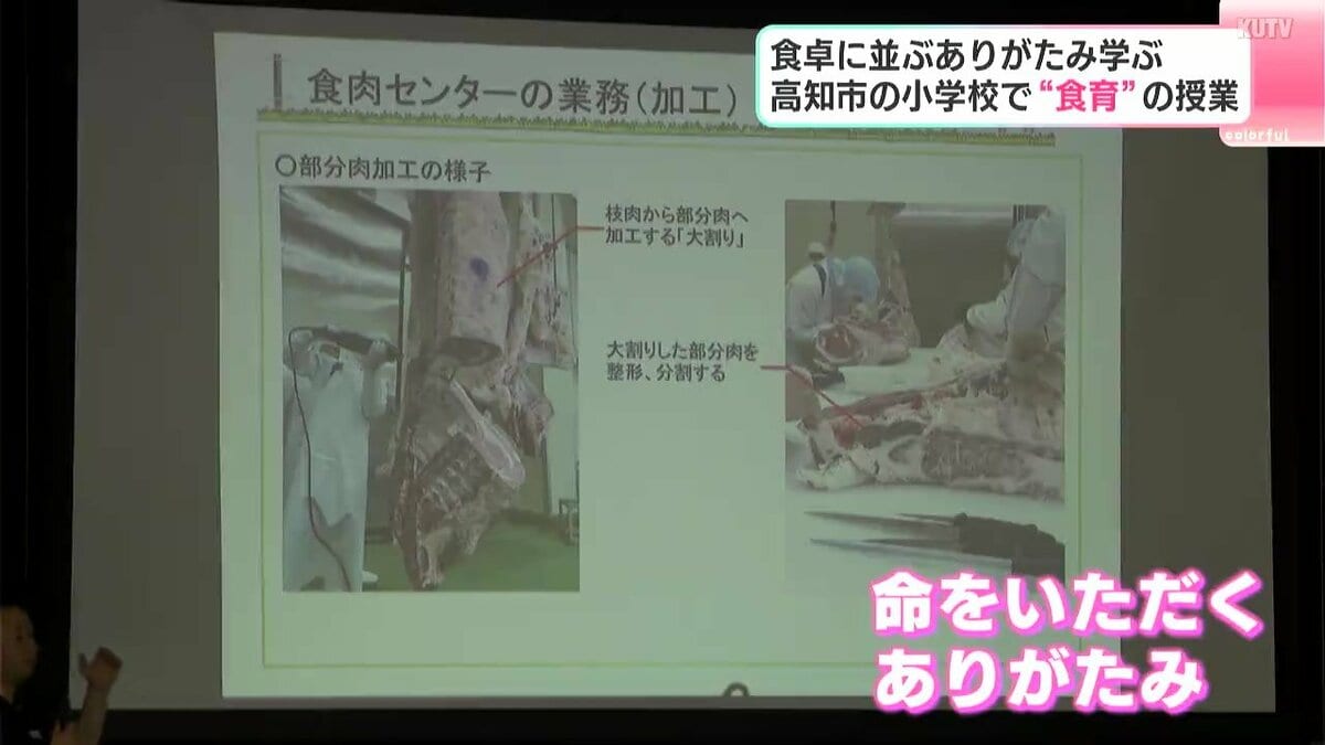 「感謝を込めて食べたいです」高知市の小学校で“食育”の授業　食卓に並ぶありがたみ学ぶ