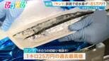 「サンマ」初競り 1キロ25万円!サイズ“大きめ”今後の水揚げの見通しは?【ひるおび】|TBS NEWS DIG