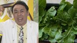 【アンガ田中卓志】家庭菜園に異変「朝起きたら食われてた」 その犯人を明かす|TBS NEWS DIG