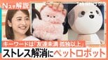 孤独は嫌…でもストレスなしのコミュニケーションをとりたい！「友達未満 孤独以上」のペットロボット【Nスタ解説】|TBS NEWS DIG