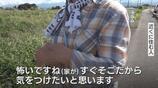 ”くりの木の下にクマの糞”目撃痕跡情報相次ぐ 富山県富山市 | 富山のニュース|天気・防災|チューリップテレビ