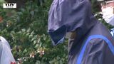 白鷹町簡易郵便局強盗 容疑者(65)の逮捕に郵便局周辺の住民からは安堵の声(山形) | 山形のニュース│TUYテレビユー山形