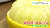 生産者減少も若手後継者は増加　“土佐文旦”の旬を前に生産者らがファン拡大へPR|TBS NEWS DIG