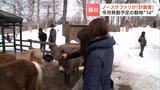 【ノースサファリサッポロ】 11月末で園内に256頭の動物残る 札幌市は12月中の施設撤去を求めるも運営会社は一部の動物のみ移動させる計画書提出　|　北海道のニュース｜HBC北海道放送
