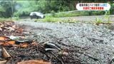 軽乗用車と原付バイク正面衝突　原付バイク男性（68）死亡　鹿児島県が曽於・肝付ブロックに「交通死亡事故多発警報」発表|TBS NEWS DIG