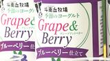「何度も飲んでもらえるものに仕上がった」青森県東通村産のブルーベリーを使用したヨーグルト飲料を“数量限定販売”　|TBS NEWS DIG