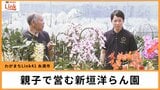 ランに一目ぼれ!サトウキビ農家を継がずラン栽培の道へ 糸満市の新垣洋らん園 自然の造形美追及する新垣親子 | 沖縄のニュース|RBC 琉球放送