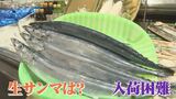 不漁が続くサンマ…今シーズンの生サンマが食卓に上るのはいつに？燃料高騰も追い打ち　|　BSSニュース | BSS山陰放送