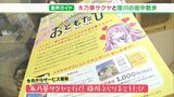 「街歩きだけでも十分楽しめる」Vチューバー「木乃華サクヤ」のナビで散歩旅　城下町・掛川をぶらり|TBS NEWS DIG