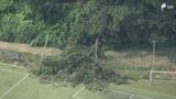 7人重軽傷の倒木事故 グラウンドの管理会社が事故状況などをホームページで公開 可能性がある要因として「根腐れ」にも言及=静岡・御殿場市 | 静岡のニュース | SBSNEWS | 静岡放送