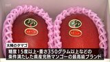 宮崎県産完熟マンゴーの最高級品「太陽のタマゴ」の初競り 最高値は52万5000円(1ケース2玉入り) | MRTニュース | MRT宮崎放送
