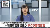十和田市官庁街通り　サクラ開花宣言　２０００年の調査開始以降で最も早く　青森県十和田市|TBS NEWS DIG