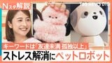孤独は嫌…でもストレスなしのコミュニケーションをとりたい!「友達未満 孤独以上」のペットロボット【Nスタ解説】|TBS NEWS DIG