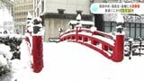 高知県内各地に大雪警報 高知市では観測史上1位の積雪 23日夜遅くにかけ厳重警戒を | 高知のニュース・天気|KUTV NEWS | KUTVテレビ高知