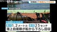 定置網に不発弾らしき “ボンベ状の物体” 引っかかる…正体は太平洋戦争時の米軍製「焼夷弾」か　海上自衛隊が回収し処理へ　富山・射水市　|　富山のニュース｜天気・防災｜チューリップテレビ