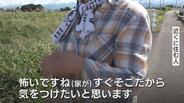 ”くりの木の下にクマの糞”目撃痕跡情報相次ぐ 富山県富山市 | 富山のニュース|天気・防災|チューリップテレビ