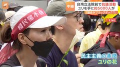 「議会がブラックボックス化」台湾・立法院前で約5000人抗議活動　参加者の手には“民主主義の象徴”ユリの花| TBS CROSS DIG with Bloomberg
