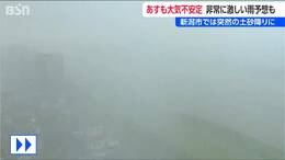 2日午前は突然の土砂降り 3日の大気も不安定 非常に激しい雨の予想も　新潟　|　新潟のニュース・天気｜BSN NEWS｜BSN新潟放送
