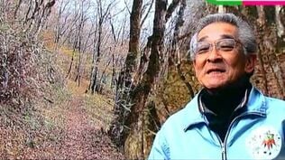「人間にも自然にも優しい場所を」道を守り続けるガイドが語る『天狗高原森林セラピーロード』　自然の中で過ごせば「何かが変わる」　|　高知のニュース・天気｜KUTV NEWS | KUTVテレビ高知