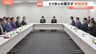一致点を見いだせるか？ とりまとめ案に野党猛反発　消費税減税・給付付き税額控除めぐる国民会議　財源示されず…次回会議で政府側が案提示へ| TBS CROSS DIG with Bloomberg