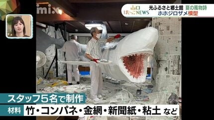 こだわりはどんどん強く…今年も巨大サメが出現 もはや夏の風物詩 山口