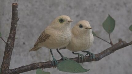 羽の1枚まで細かく作業」本物そっくりの野鳥の彫刻 バードカービング