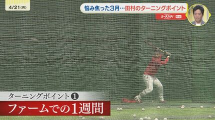 あさつあ‼️！広島カープ田村選手木製バット！！ MIZUNO ミズノ/硬式木製バット/ミズノプロ/田村モデル/背番号