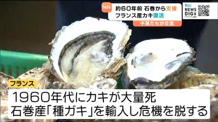 約60年前フランスを救った石巻産「種ガキ」日仏の子孫たちが交流「感動