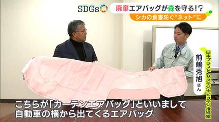 人の命だけでなく 森の樹木も守ることに使えないか」廃棄エアバッグで