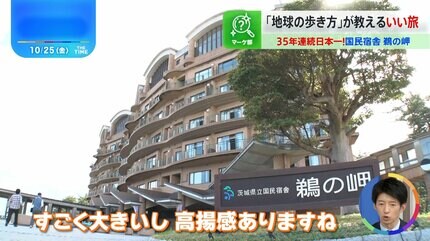 だれでも泊まれる全国公営の宿 思い出の旅へ！愛犬家のための、ドッグフレンドリーなおしゃれ国内宿20選