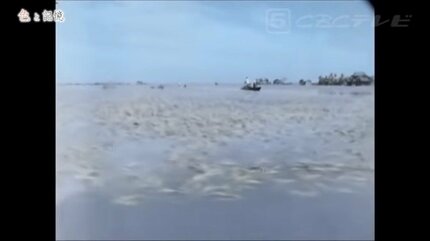 台風14号】最大級の警戒を 「伊勢湾台風」に並ぶ恐れ…63年前は