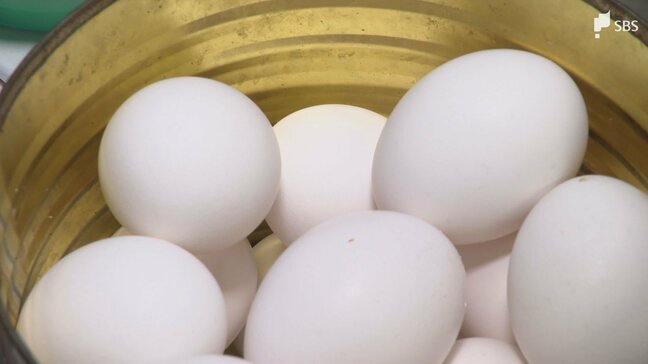 「昔はこんなふうに安いところを探す必要なかった」"物価の優等生"卵の高止まり続く 円安や中東情勢によるエサ代高騰が直撃=静岡|TBS NEWS DIG