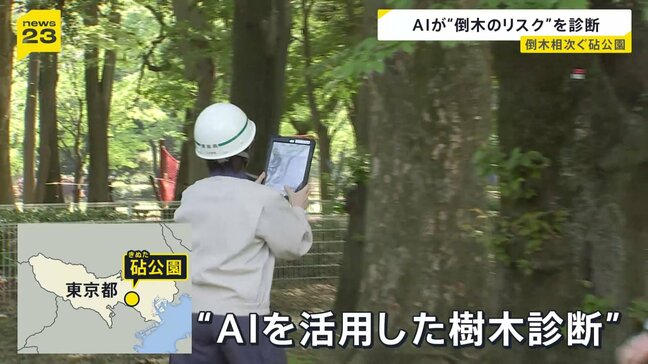 倒木相次ぎけが人も…東京・砧公園で5000本の樹木を緊急点検　試験的にAI活用「作業の効率化やスピードアップに」|TBS NEWS DIG
